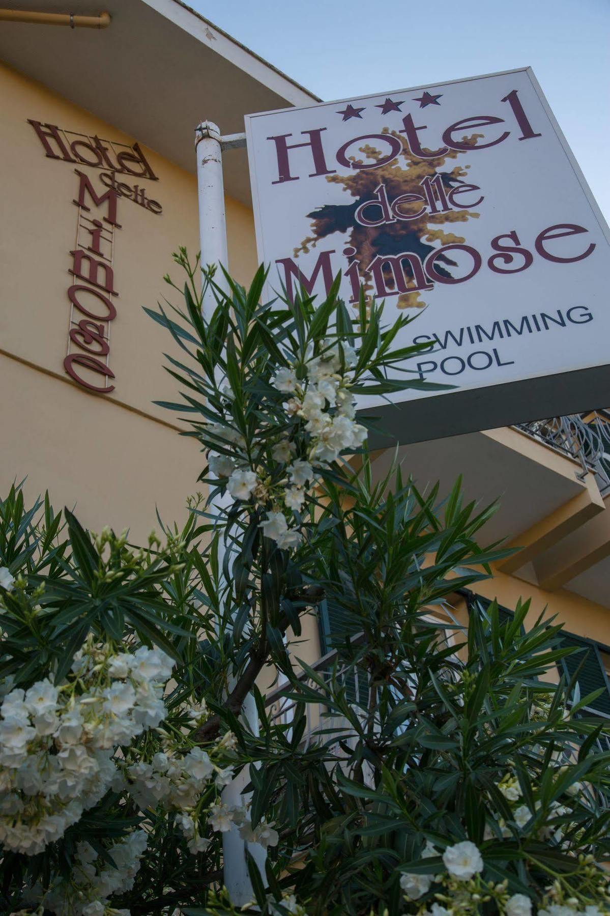 Hotel Delle Mimose Diano Marina Bagian luar foto